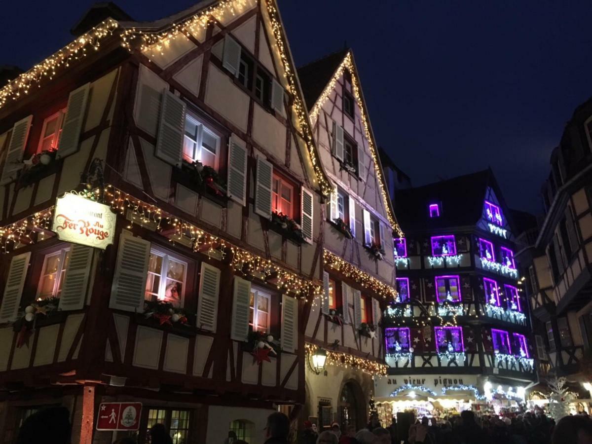 Beaux Lofts Pres D'Europa Park Et Strasbourg Vila Obenheim Exterior foto