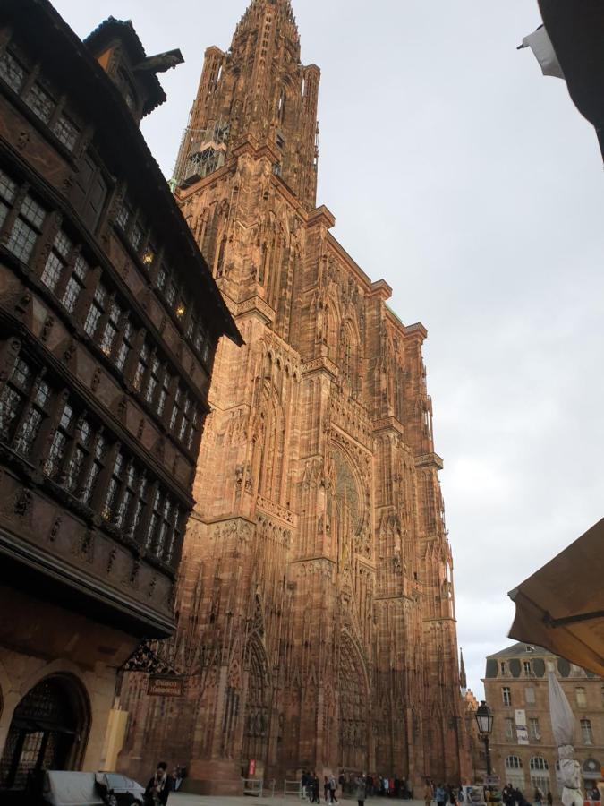 Beaux Lofts Pres D'Europa Park Et Strasbourg Vila Obenheim Exterior foto